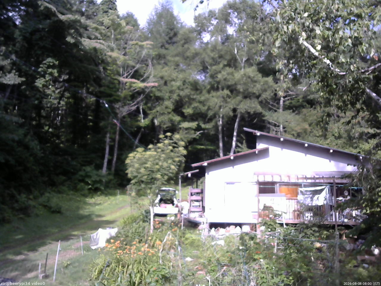 長野県菅平高原 ゆたか山荘 西側(坂上) 2026/08/08 08:00