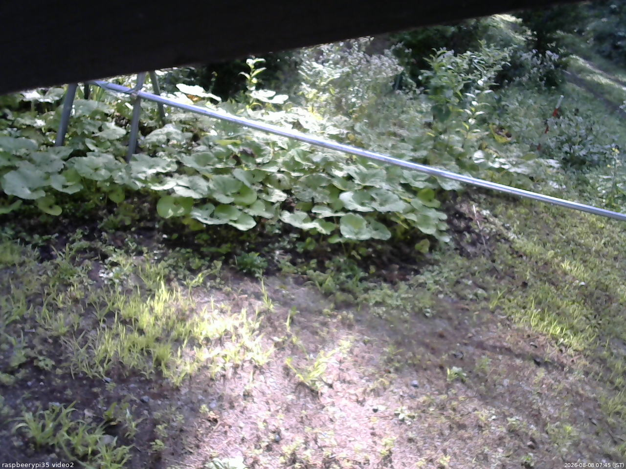 長野県菅平高原 ゆたか山荘 駐車場 2026/08/08 07:45