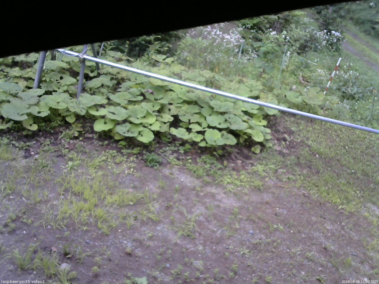 長野県菅平高原 ゆたか山荘 駐車場 2026/08/08 11:00