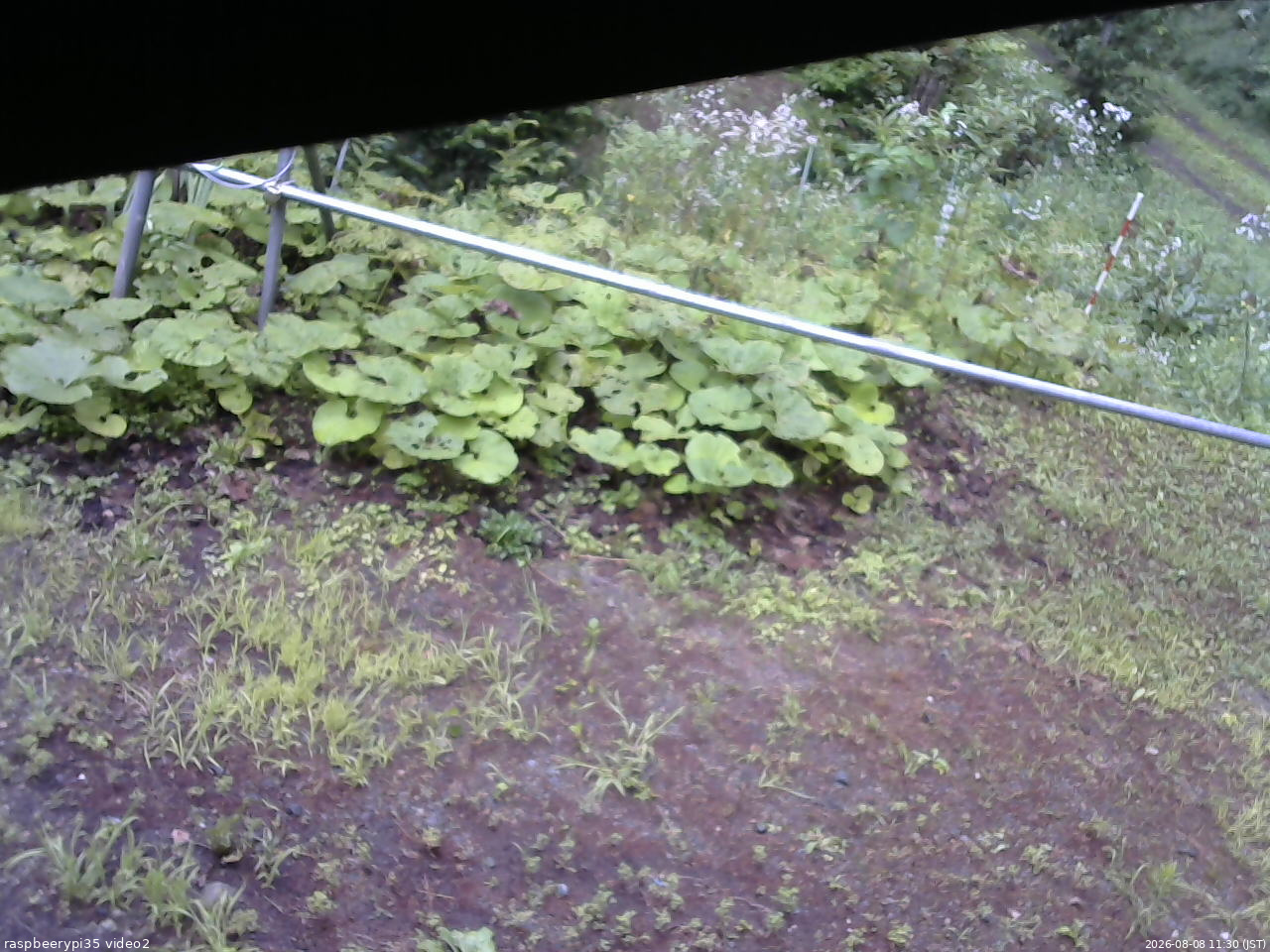長野県菅平高原 ゆたか山荘 駐車場 2026/08/08 11:30