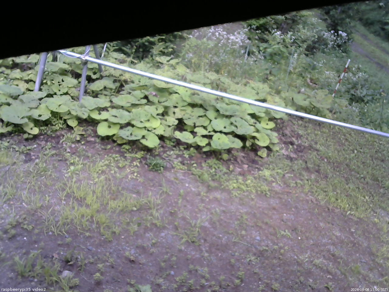 長野県菅平高原 ゆたか山荘 駐車場 2026/08/08 15:00