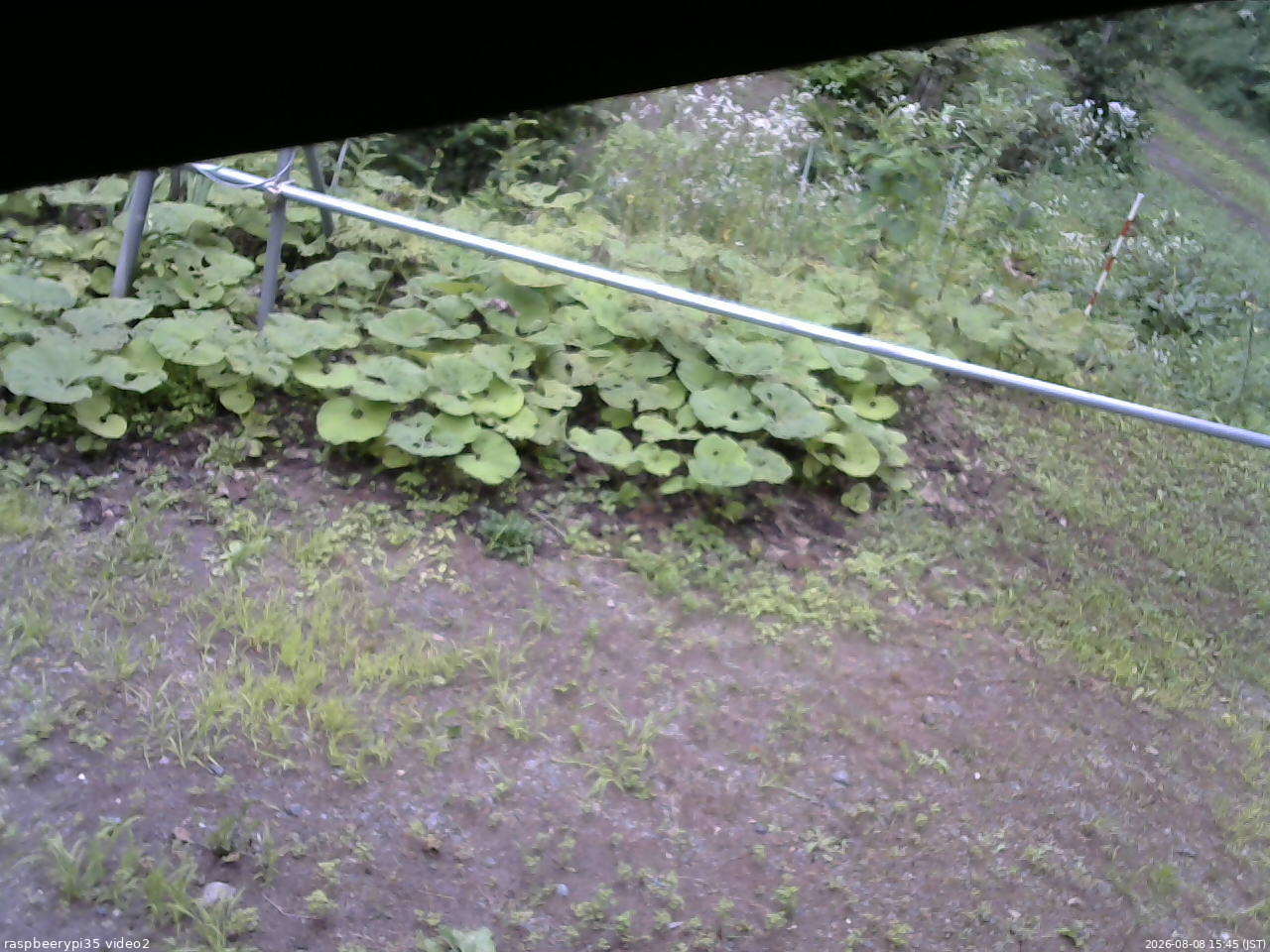 長野県菅平高原 ゆたか山荘 駐車場 2026/08/08 15:45
