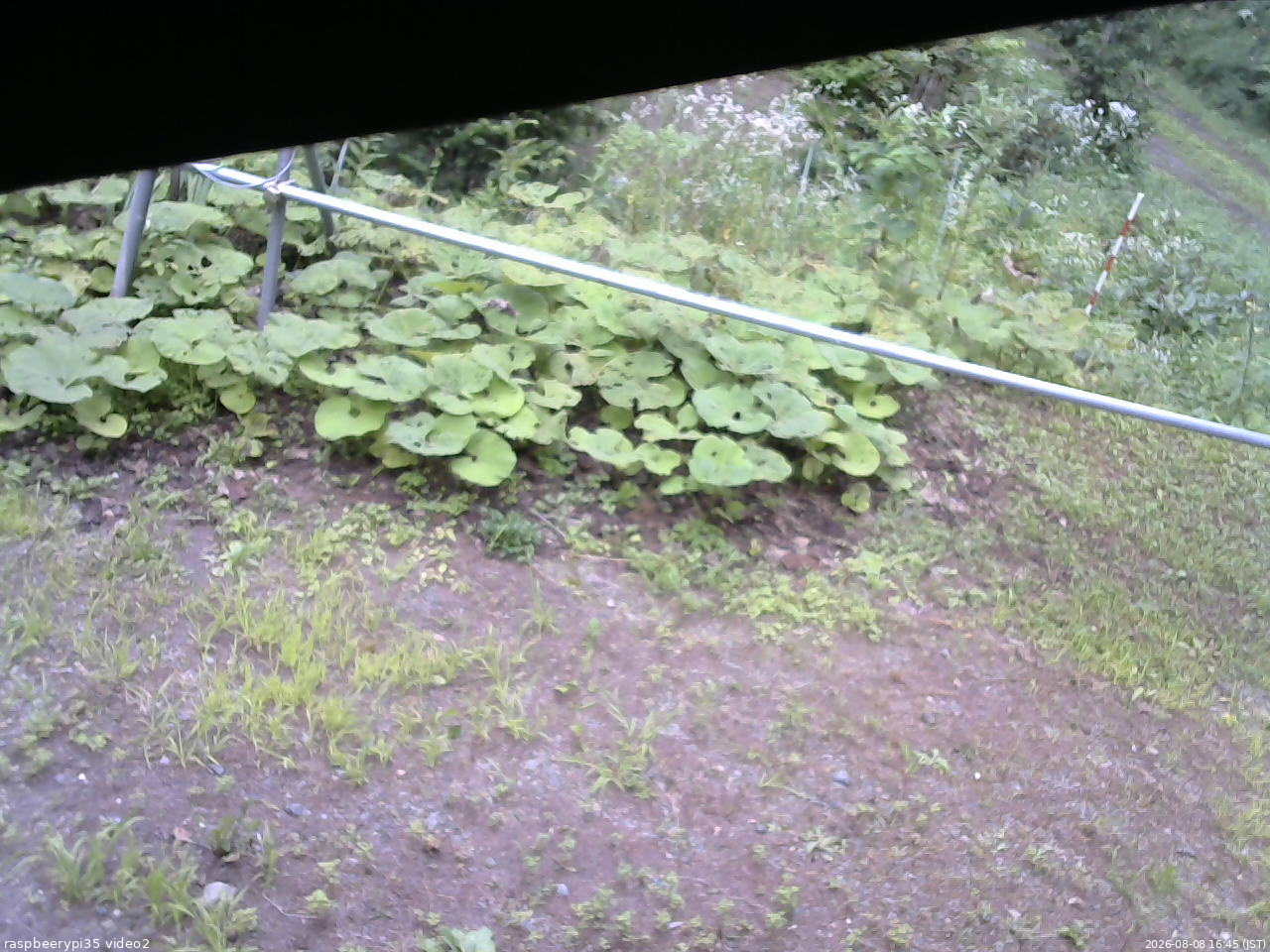 長野県菅平高原 ゆたか山荘 駐車場 2026/08/08 16:45