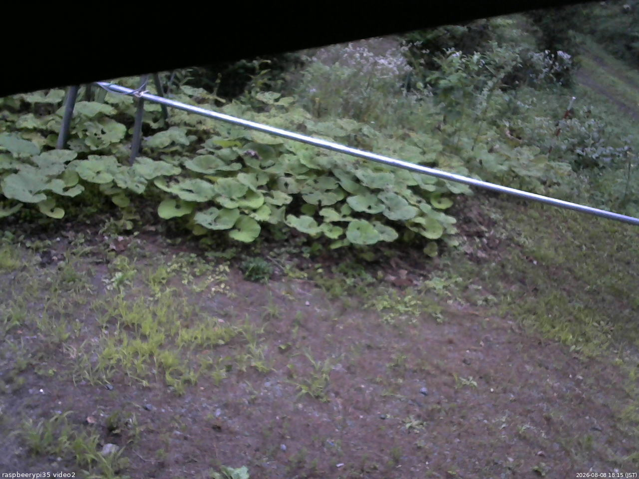 長野県菅平高原 ゆたか山荘 駐車場 2026/08/08 18:15