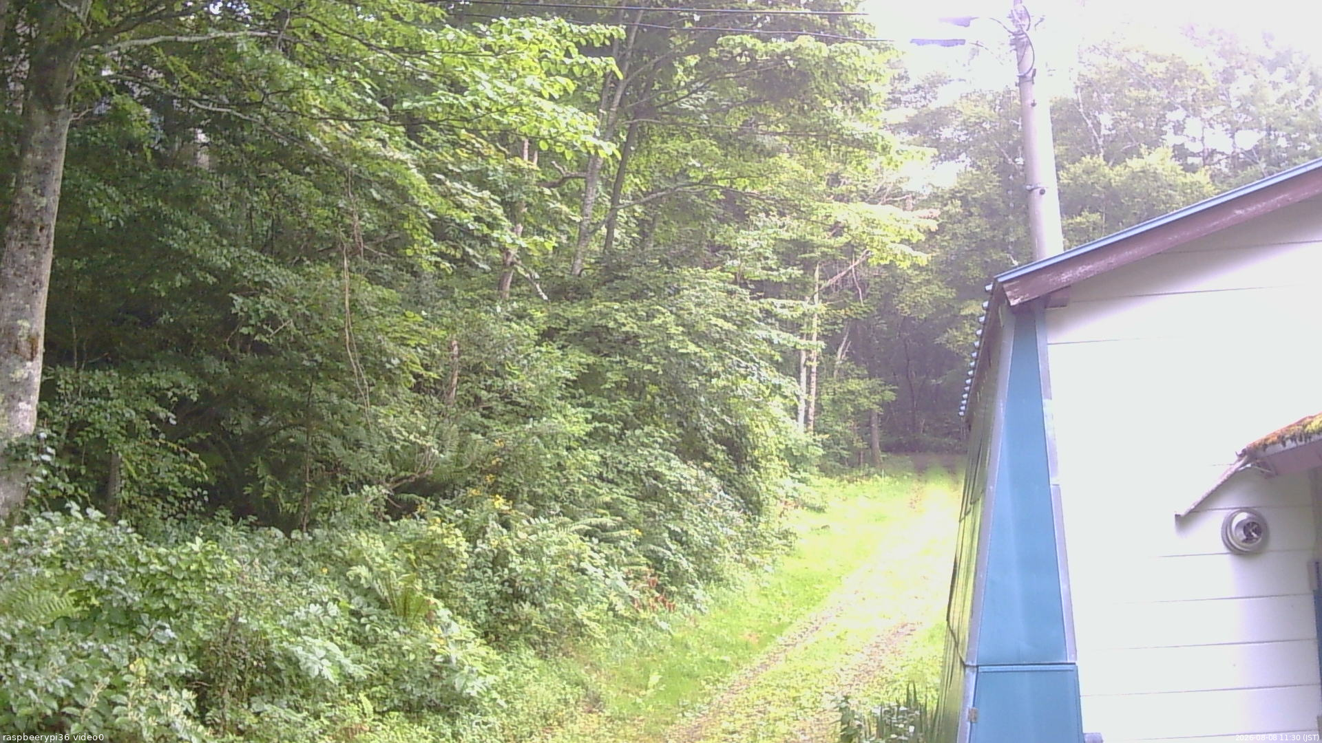 長野県菅平高原 ゆたか山荘 ゆたか山荘 2026/08/08 11:30