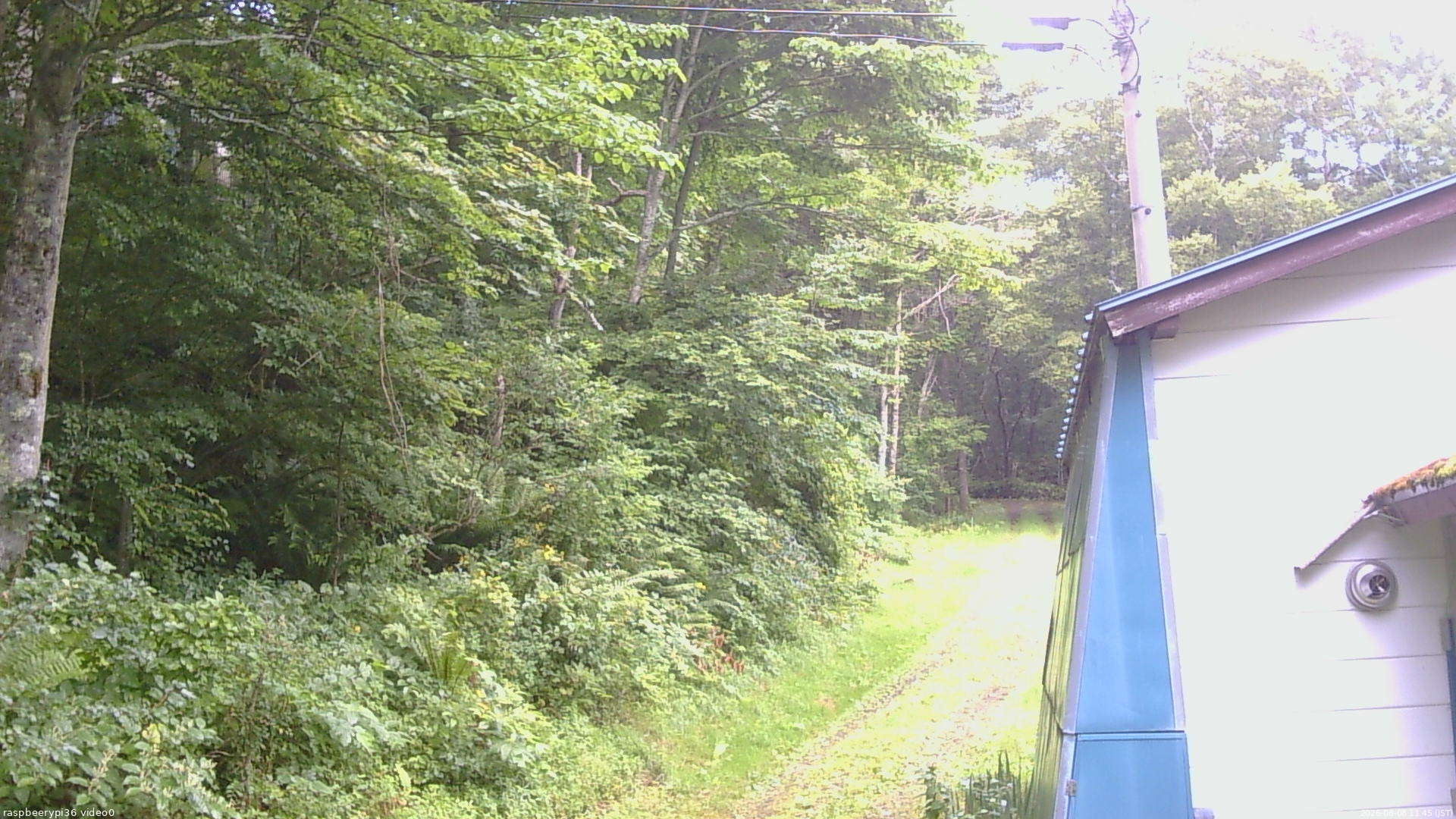 長野県菅平高原 ゆたか山荘 ゆたか山荘 2026/08/08 11:45