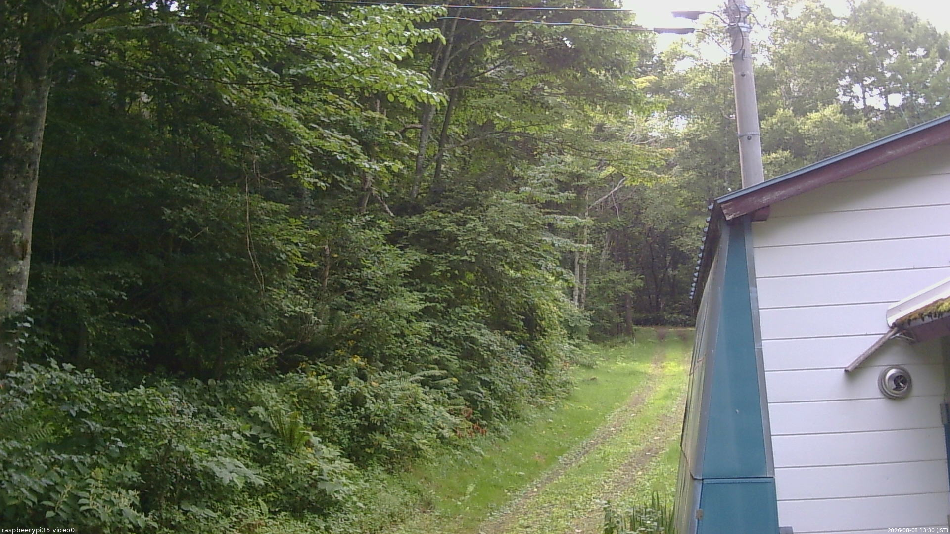 長野県菅平高原 ゆたか山荘 ゆたか山荘 2026/08/08 13:30