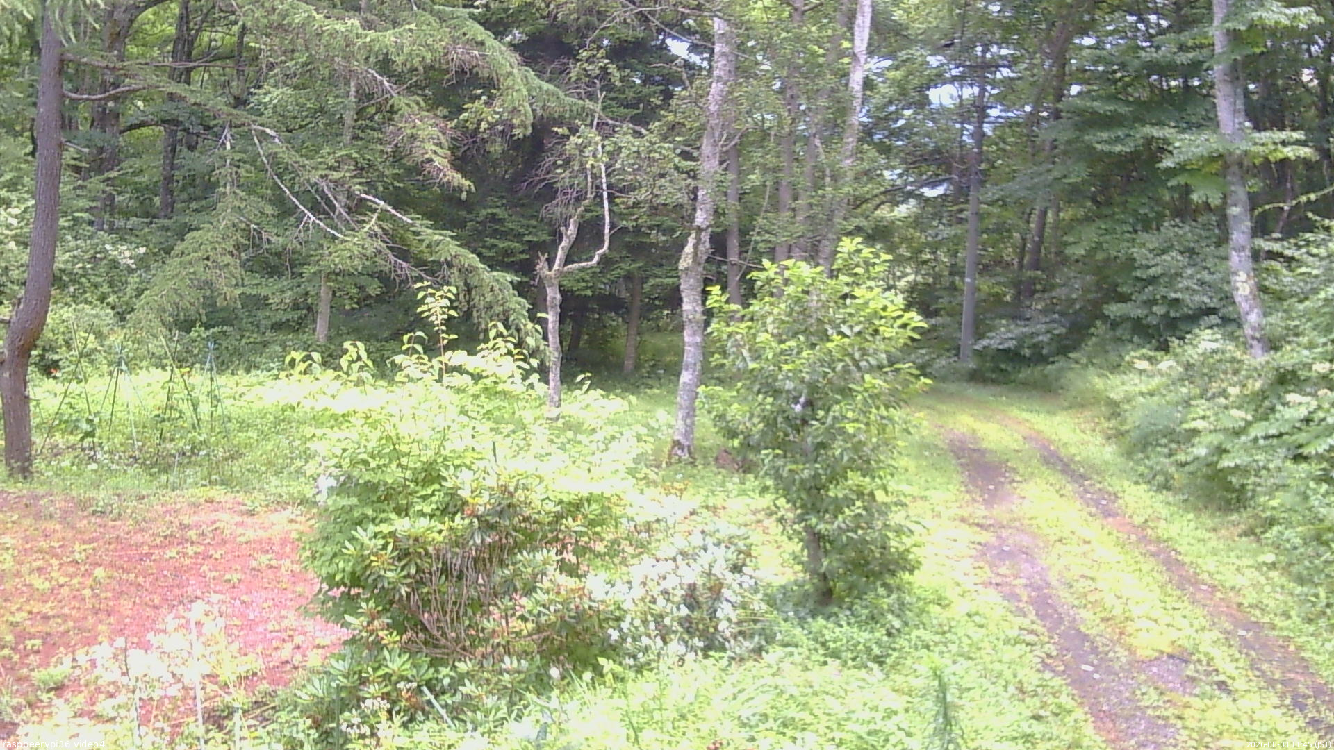 長野県菅平高原 ゆたか山荘 坂上 2026/08/08 11:45