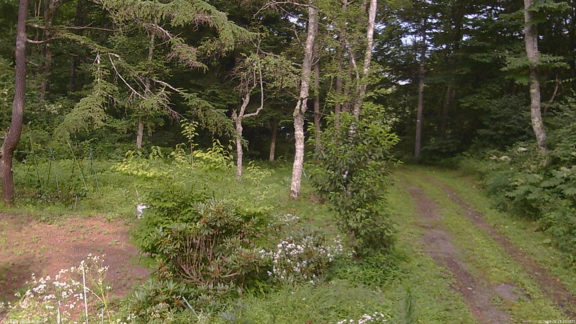 長野県菅平高原 ゆたか山荘 坂上 2026/08/08 15:30