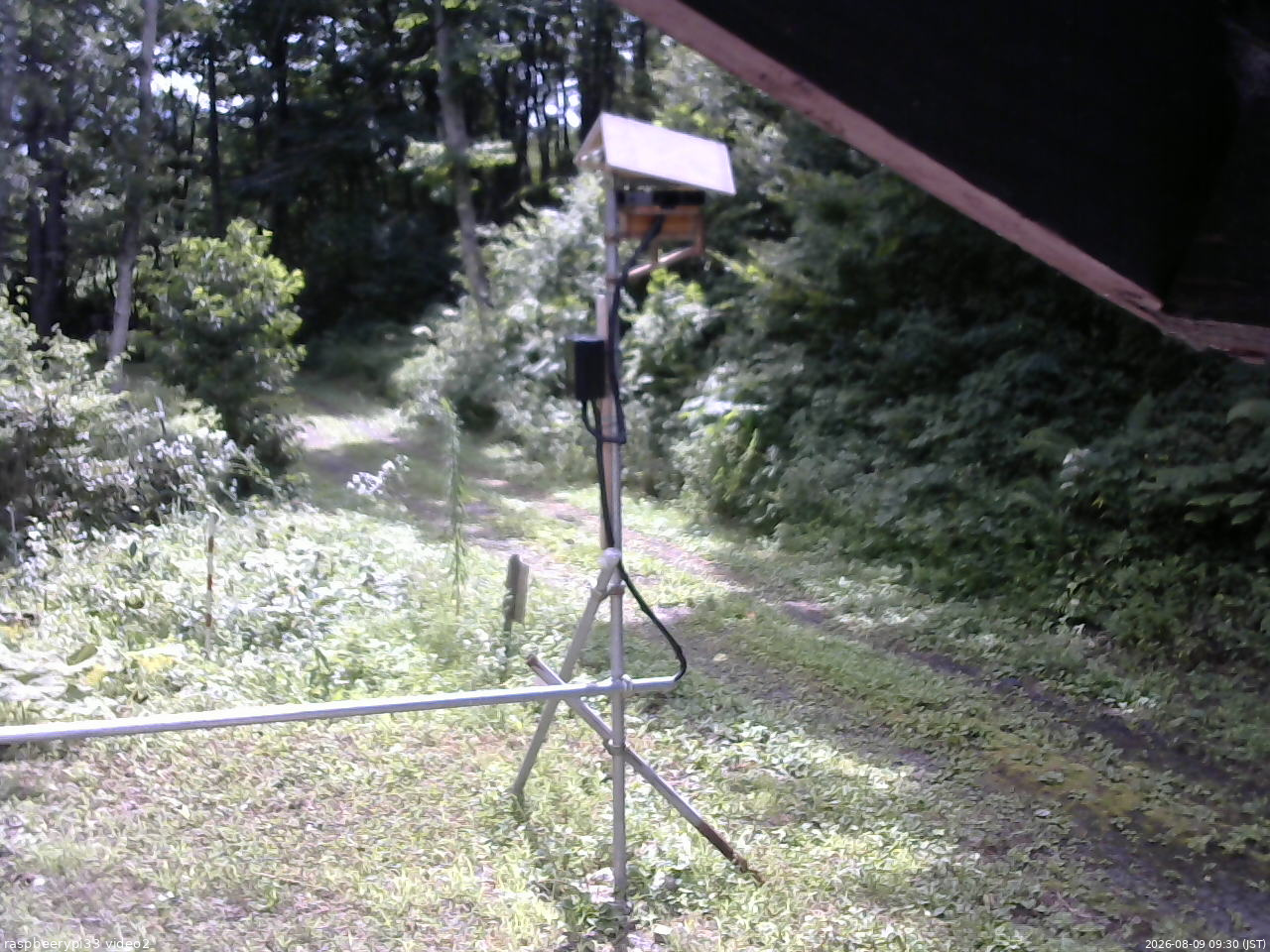 長野県菅平高原 ゆたか山荘 南側 2026/08/09 09:30
