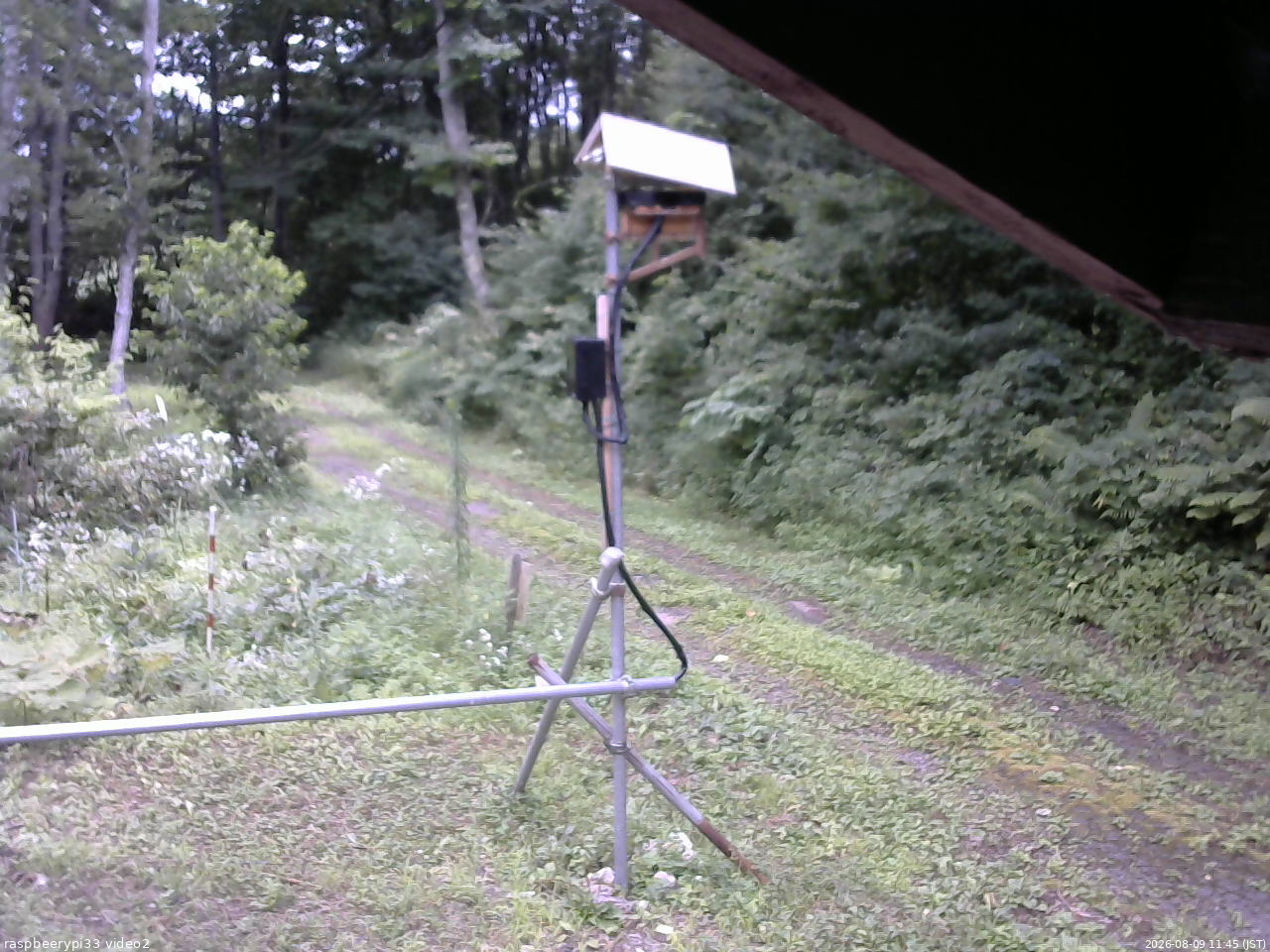 長野県菅平高原 ゆたか山荘 南側 2026/08/09 11:45