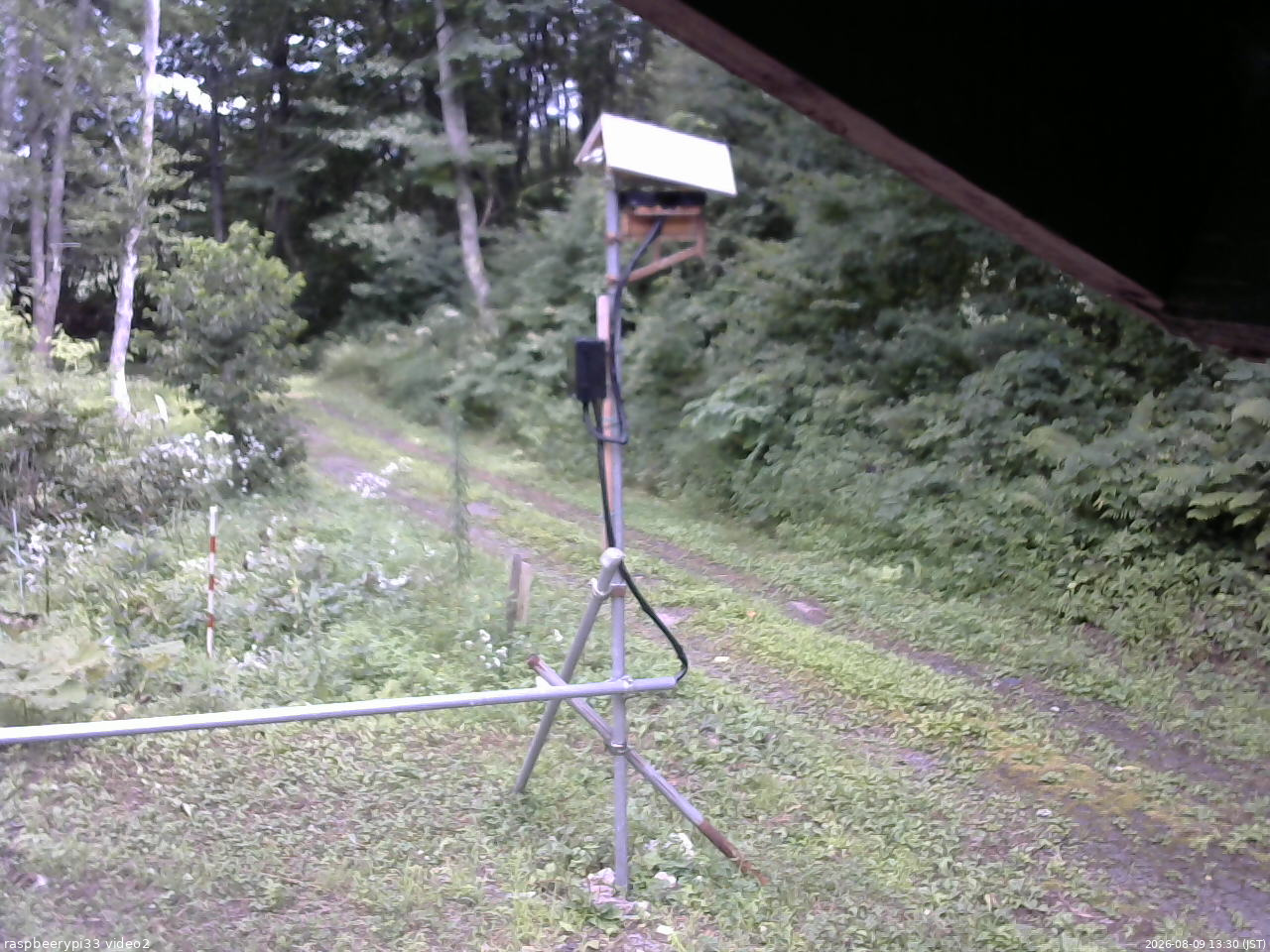 長野県菅平高原 ゆたか山荘 南側 2026/08/09 13:30