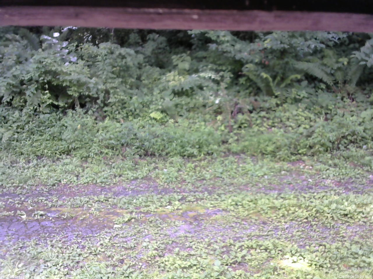 長野県菅平高原 ゆたか山荘 東側(坂下) 2026/08/09 10:00