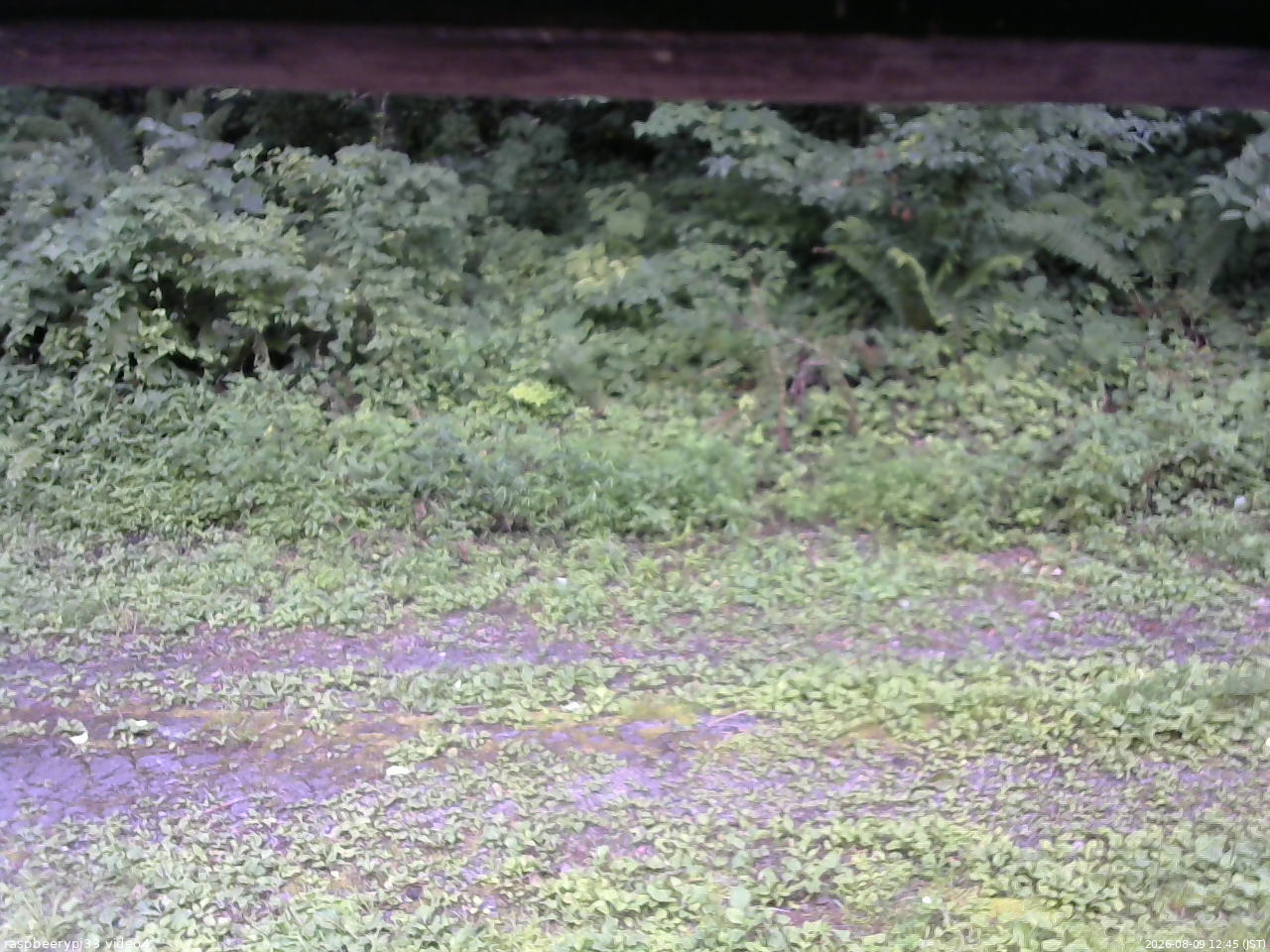 長野県菅平高原 ゆたか山荘 東側(坂下) 2026/08/09 12:45