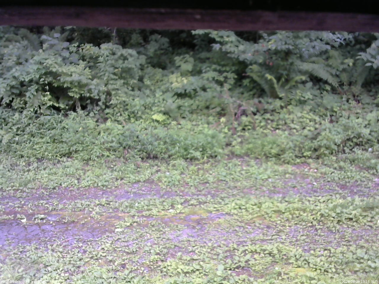 長野県菅平高原 ゆたか山荘 東側(坂下) 2026/08/09 13:15