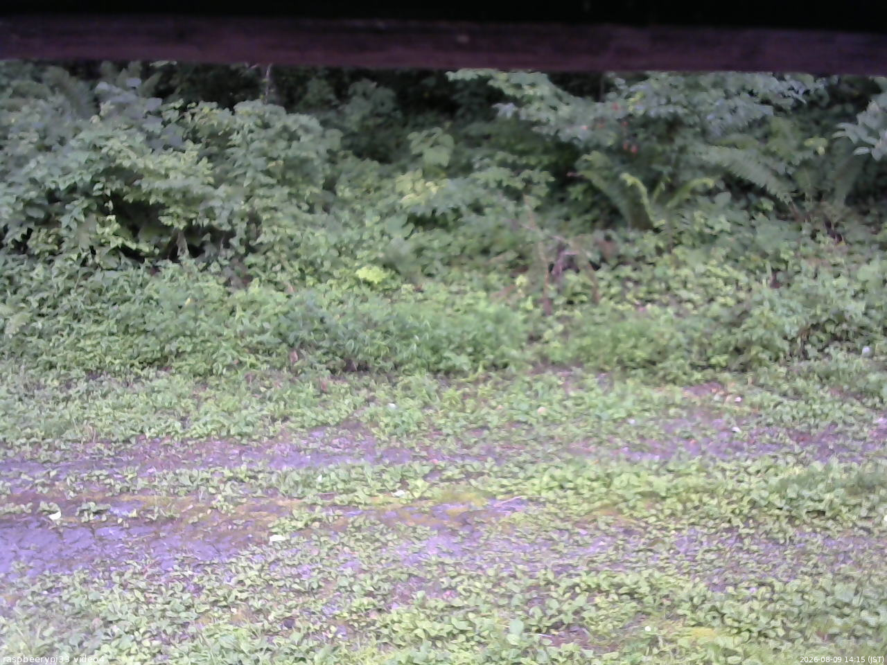 長野県菅平高原 ゆたか山荘 東側(坂下) 2026/08/09 14:15