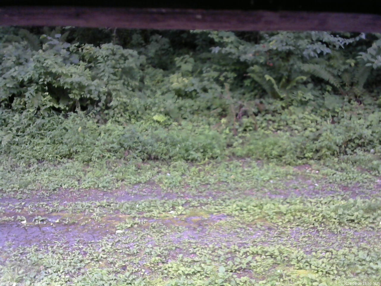 長野県菅平高原 ゆたか山荘 東側(坂下) 2026/08/09 15:30