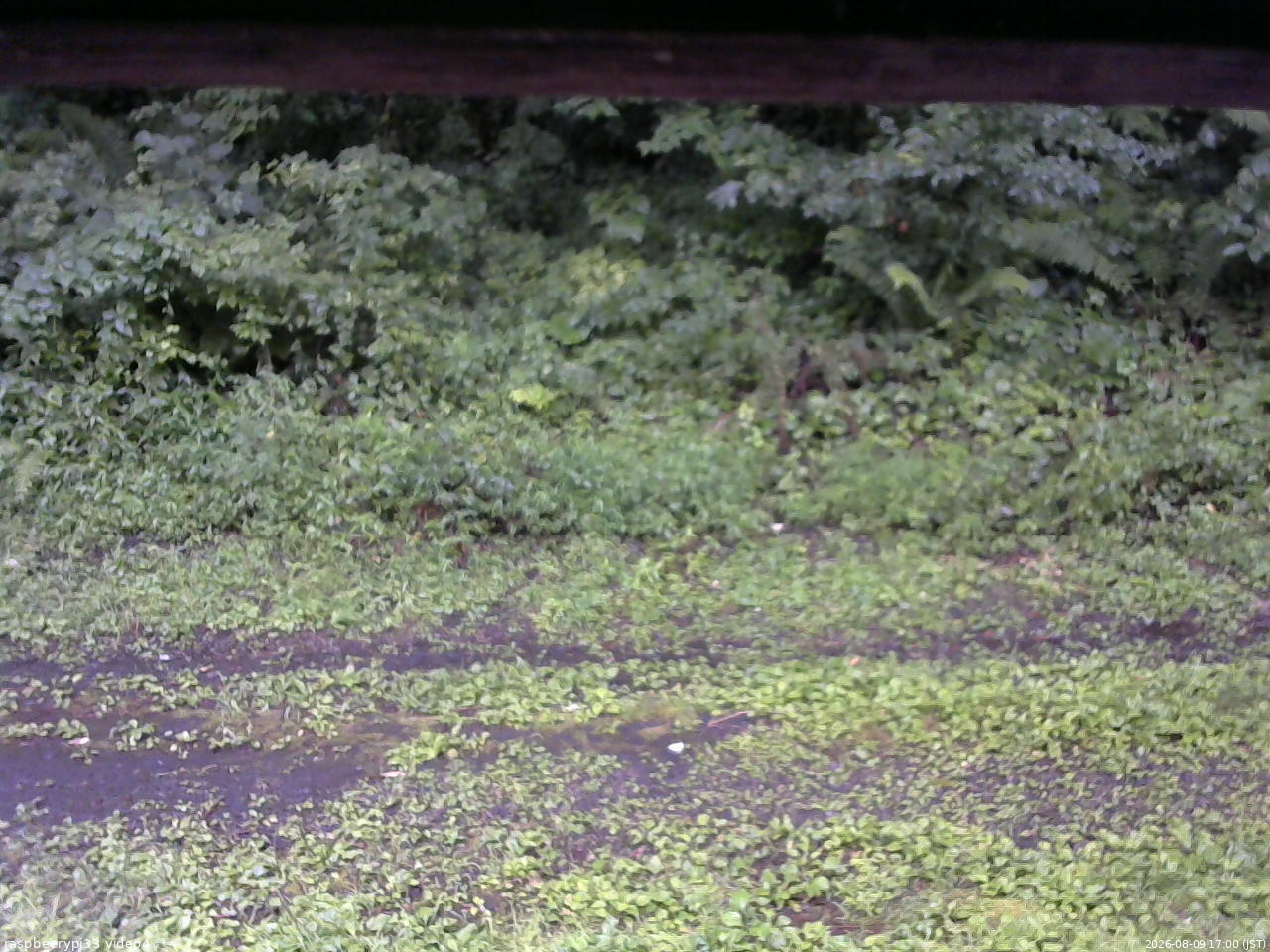 長野県菅平高原 ゆたか山荘 東側(坂下) 2026/08/09 17:00