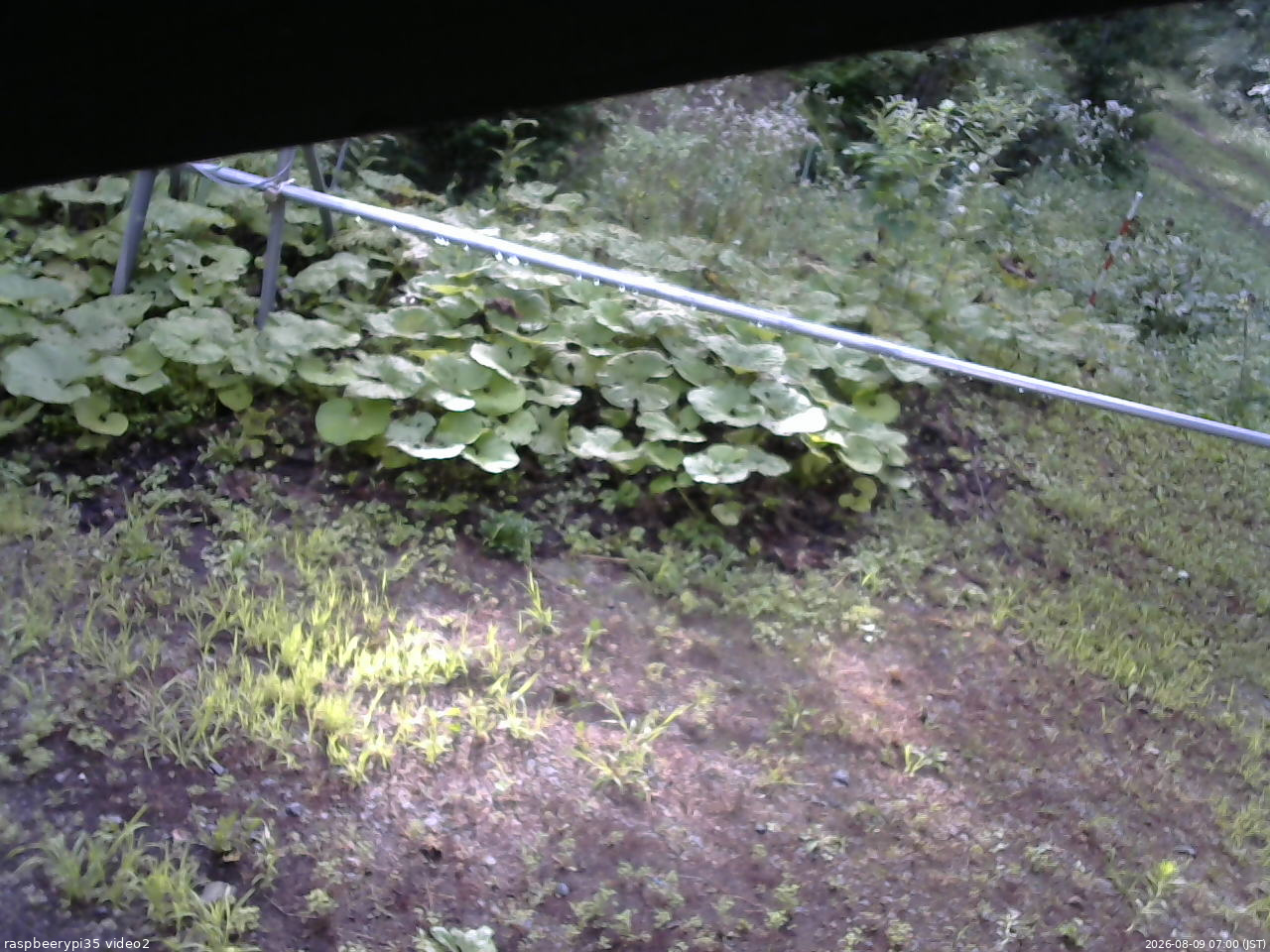 長野県菅平高原 ゆたか山荘 駐車場 2026/08/09 07:00
