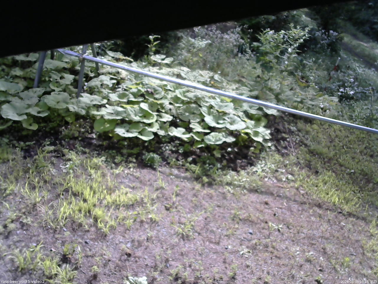 長野県菅平高原 ゆたか山荘 駐車場 2026/08/09 08:15