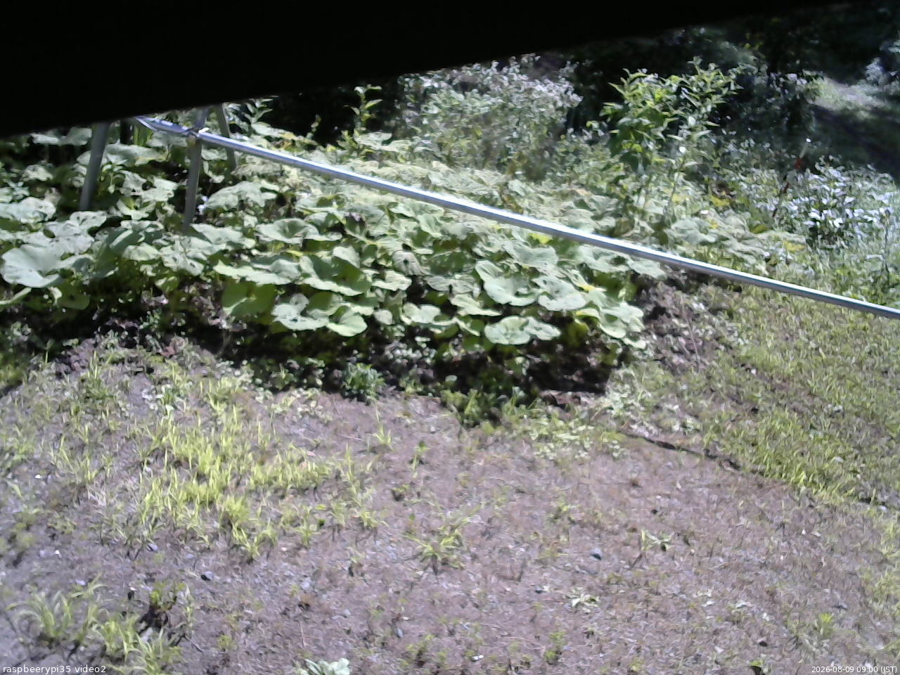 長野県菅平高原 ゆたか山荘 駐車場 2026/08/09 09:00