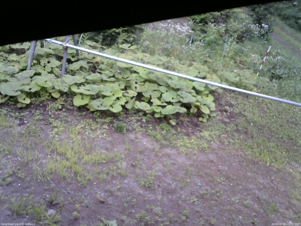 長野県菅平高原 ゆたか山荘 駐車場 2026/08/09 15:15
