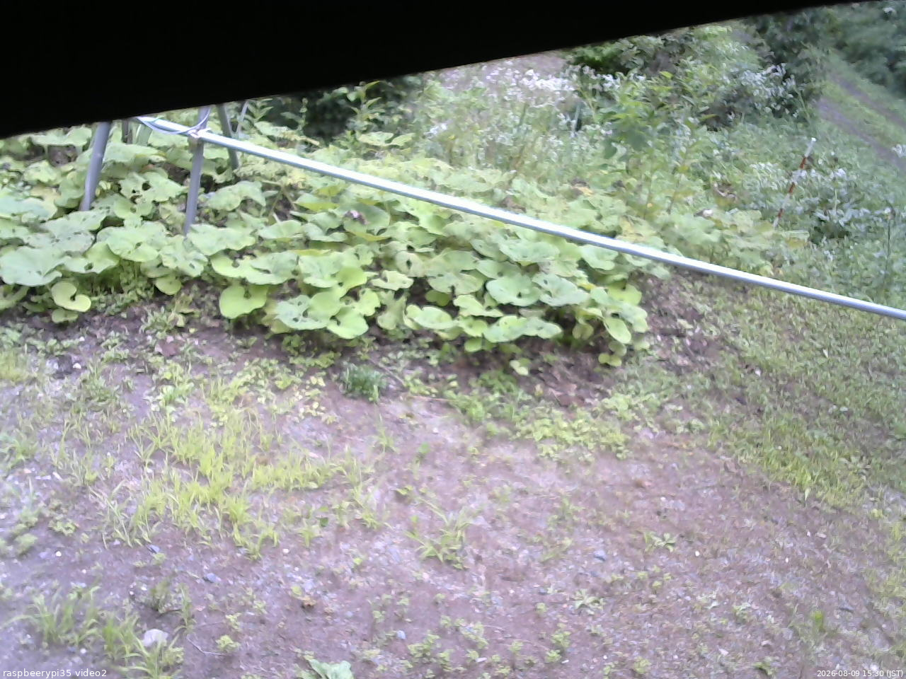 長野県菅平高原 ゆたか山荘 駐車場 2026/08/09 15:30