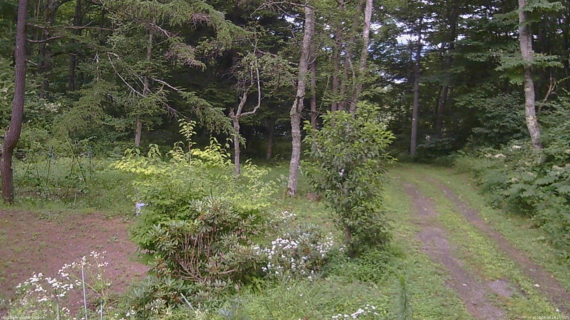 長野県菅平高原 ゆたか山荘 坂上 2026/08/09 14:15