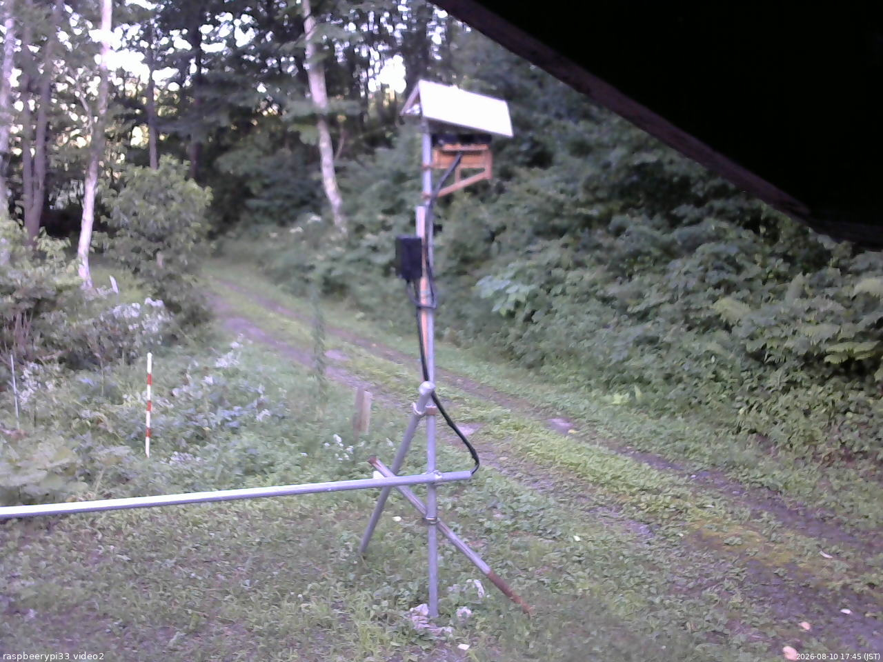 長野県菅平高原 ゆたか山荘 南側 2026/08/10 17:45