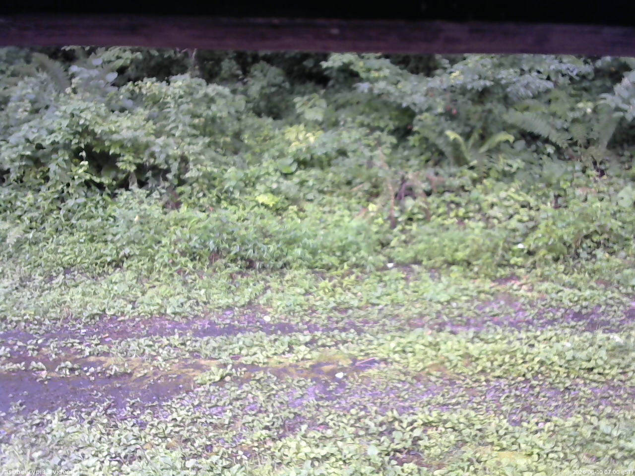 長野県菅平高原 ゆたか山荘 東側(坂下) 2026/08/10 07:00