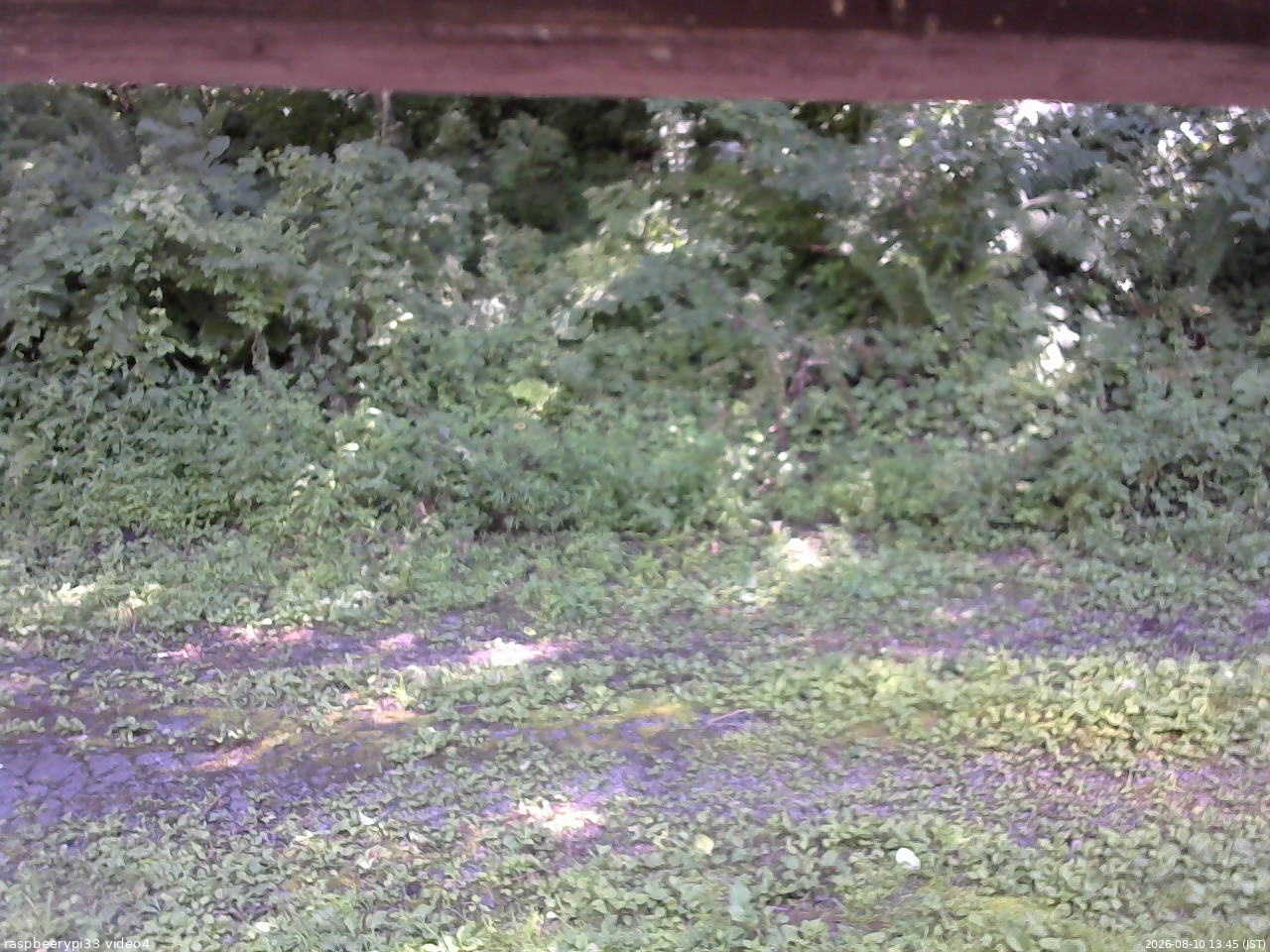 長野県菅平高原 ゆたか山荘 東側(坂下) 2026/08/10 13:45