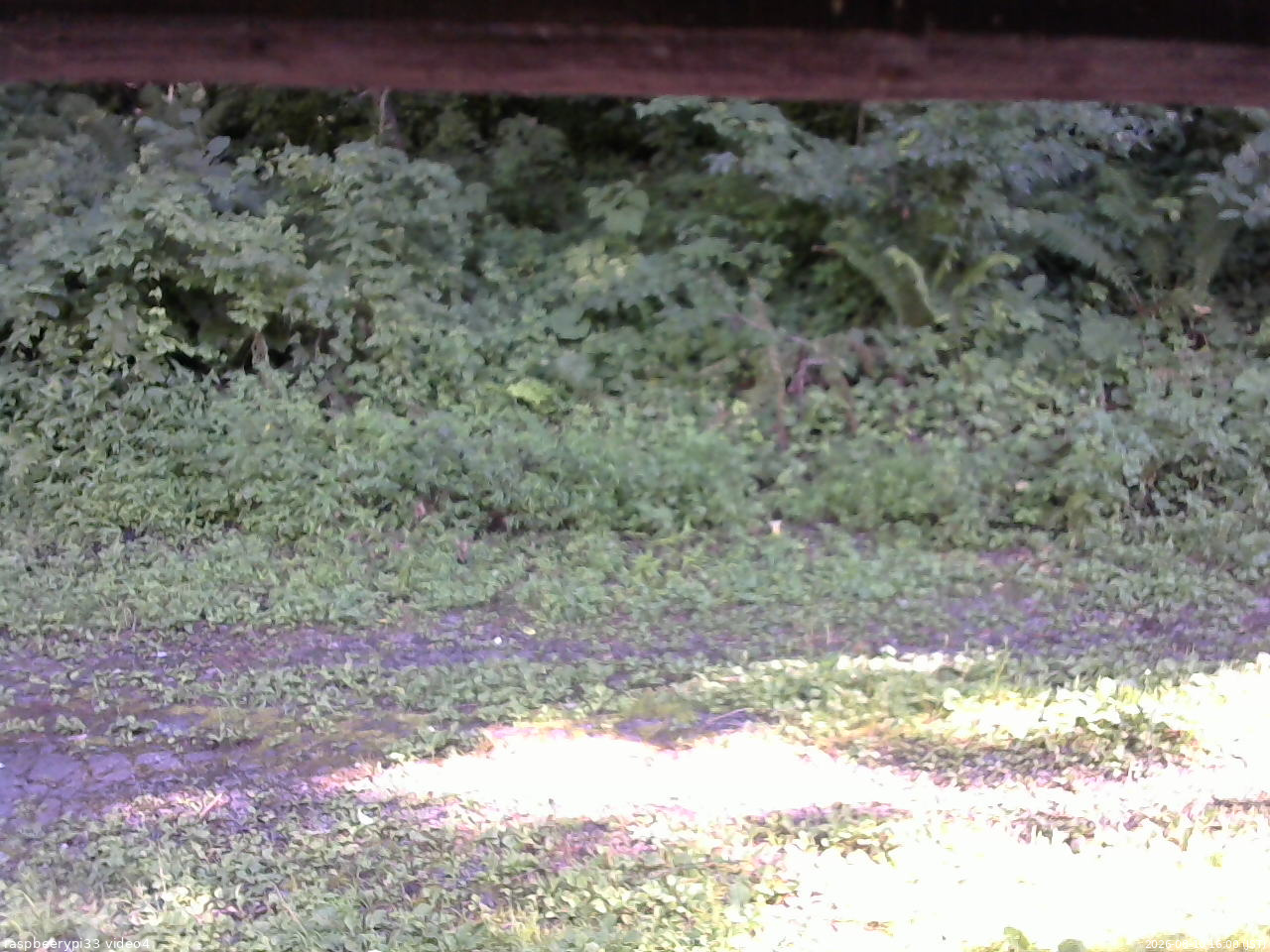 長野県菅平高原 ゆたか山荘 東側(坂下) 2026/08/10 16:00