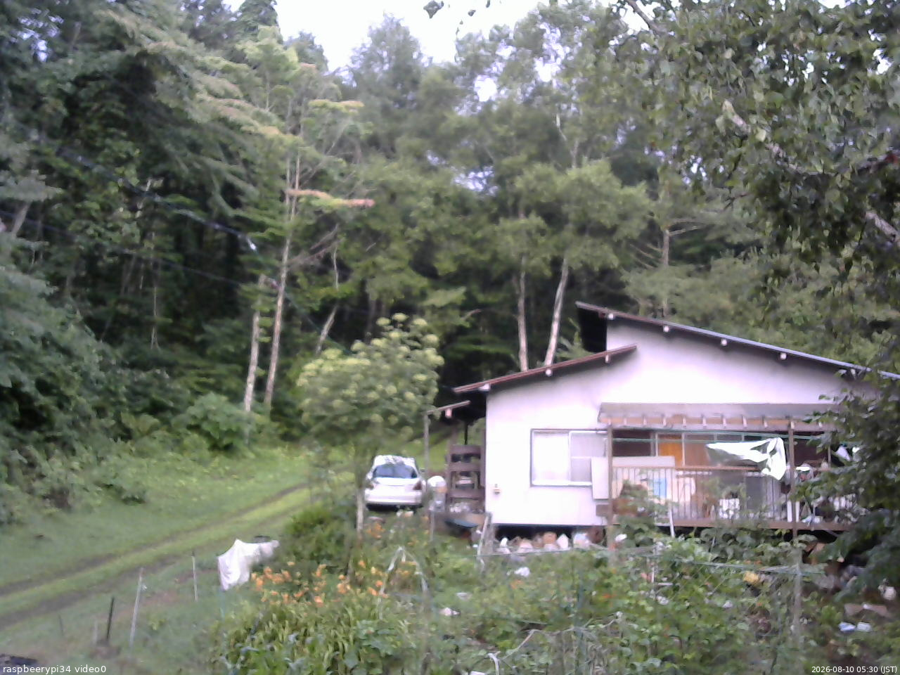 長野県菅平高原 ゆたか山荘 西側(坂上) 2026/08/10 05:30