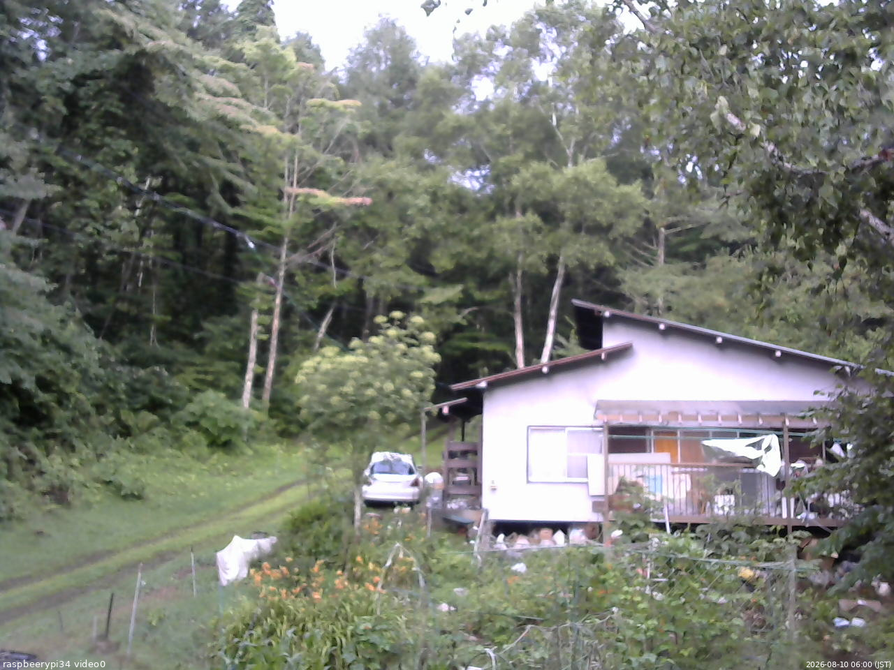 長野県菅平高原 ゆたか山荘 西側(坂上) 2026/08/10 06:00