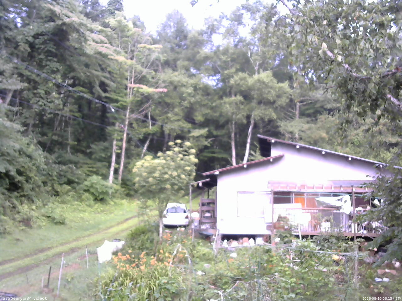 長野県菅平高原 ゆたか山荘 西側(坂上) 2026/08/10 06:15
