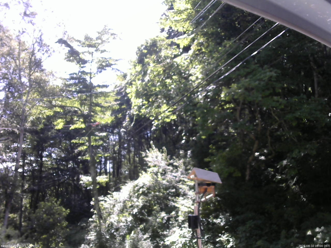 長野県菅平高原 ゆたか山荘 温度計 2026/08/10 09:00