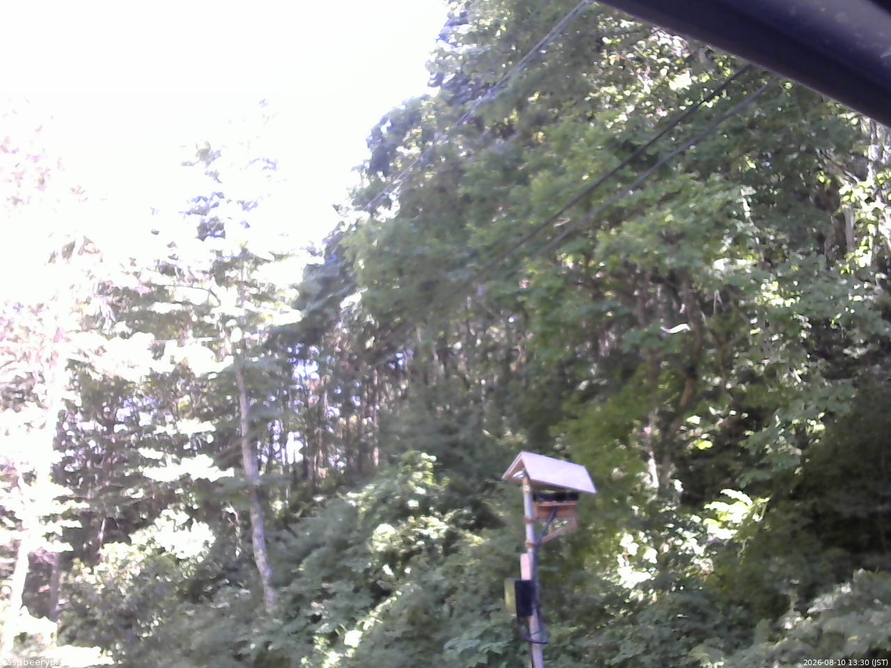 長野県菅平高原 ゆたか山荘 温度計 2026/08/10 13:30