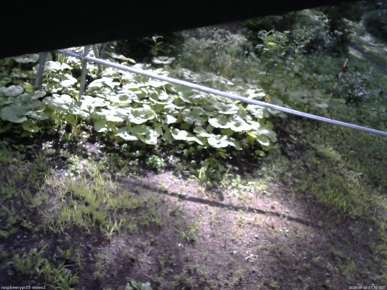長野県菅平高原 ゆたか山荘 駐車場 2026/08/10 07:30