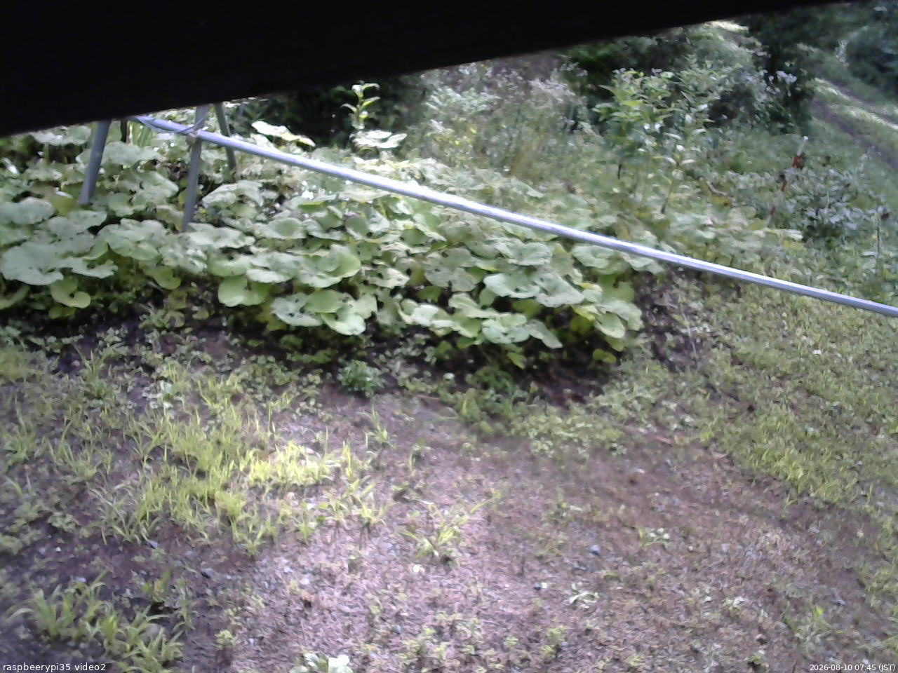 長野県菅平高原 ゆたか山荘 駐車場 2026/08/10 07:45