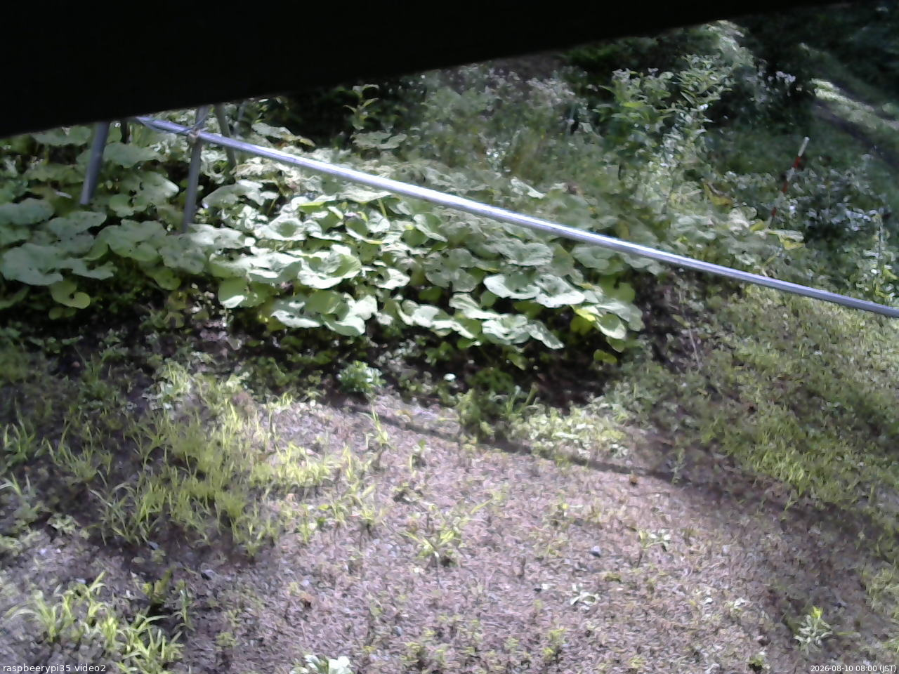 長野県菅平高原 ゆたか山荘 駐車場 2026/08/10 08:00