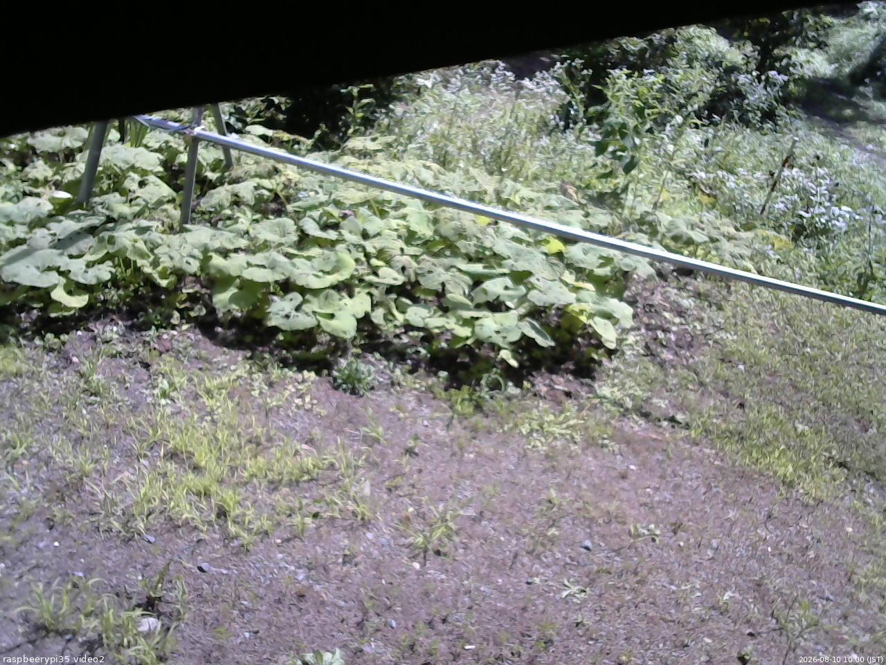 長野県菅平高原 ゆたか山荘 駐車場 2026/08/10 10:00