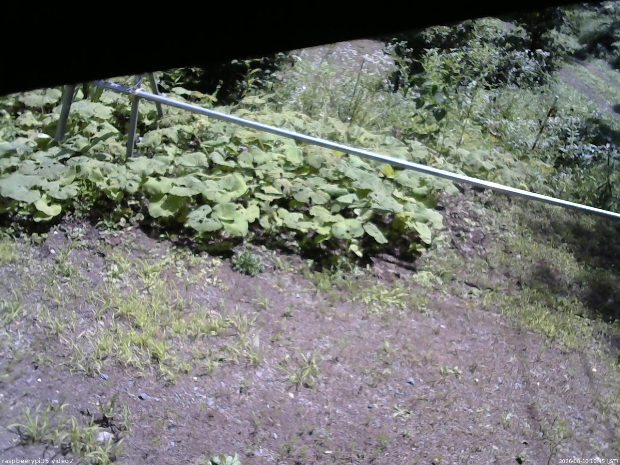 長野県菅平高原 ゆたか山荘 駐車場 2026/08/10 10:45