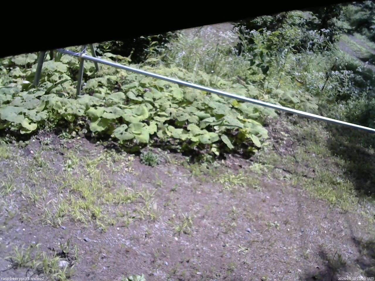 長野県菅平高原 ゆたか山荘 駐車場 2026/08/10 11:00