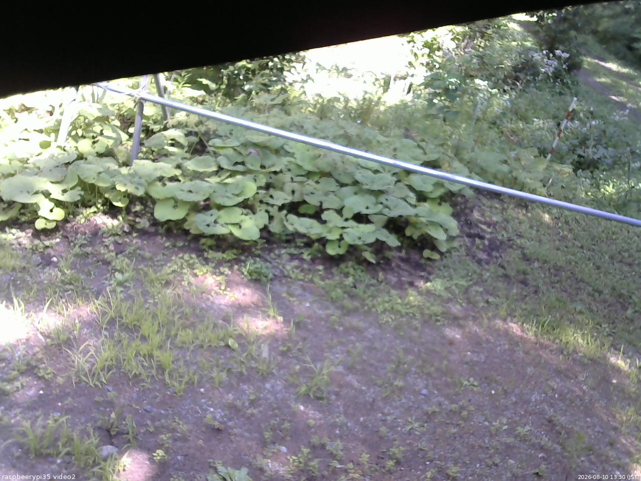長野県菅平高原 ゆたか山荘 駐車場 2026/08/10 13:30