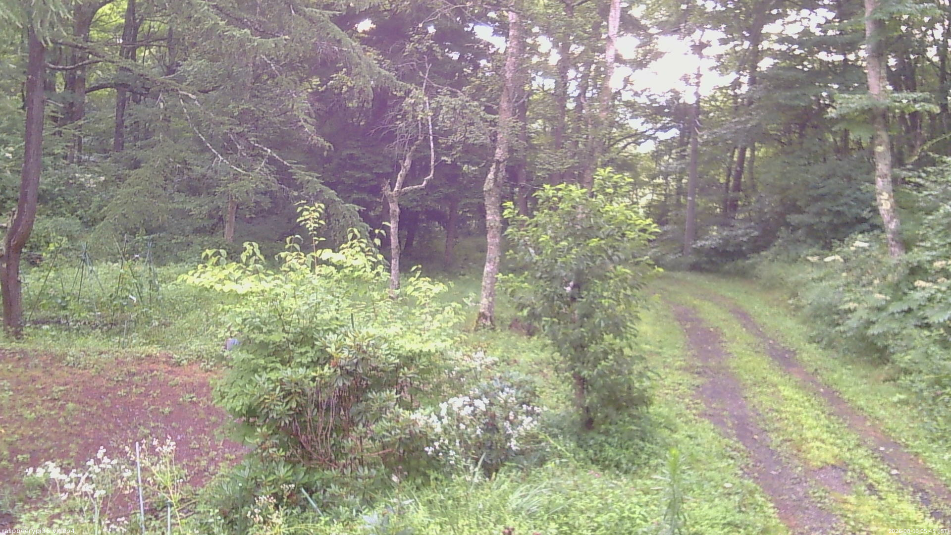 長野県菅平高原 ゆたか山荘 坂上 2026/08/10 05:45