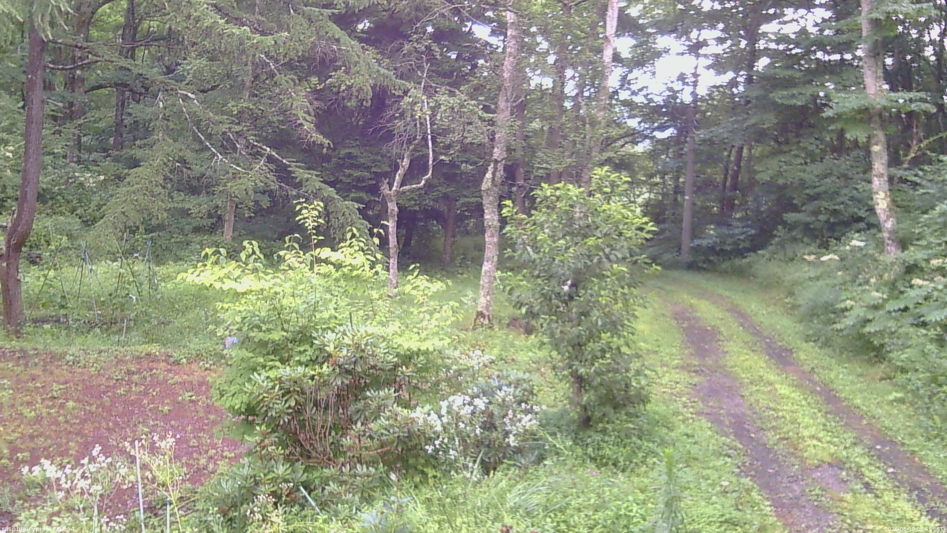 長野県菅平高原 ゆたか山荘 坂上 2026/08/10 06:45