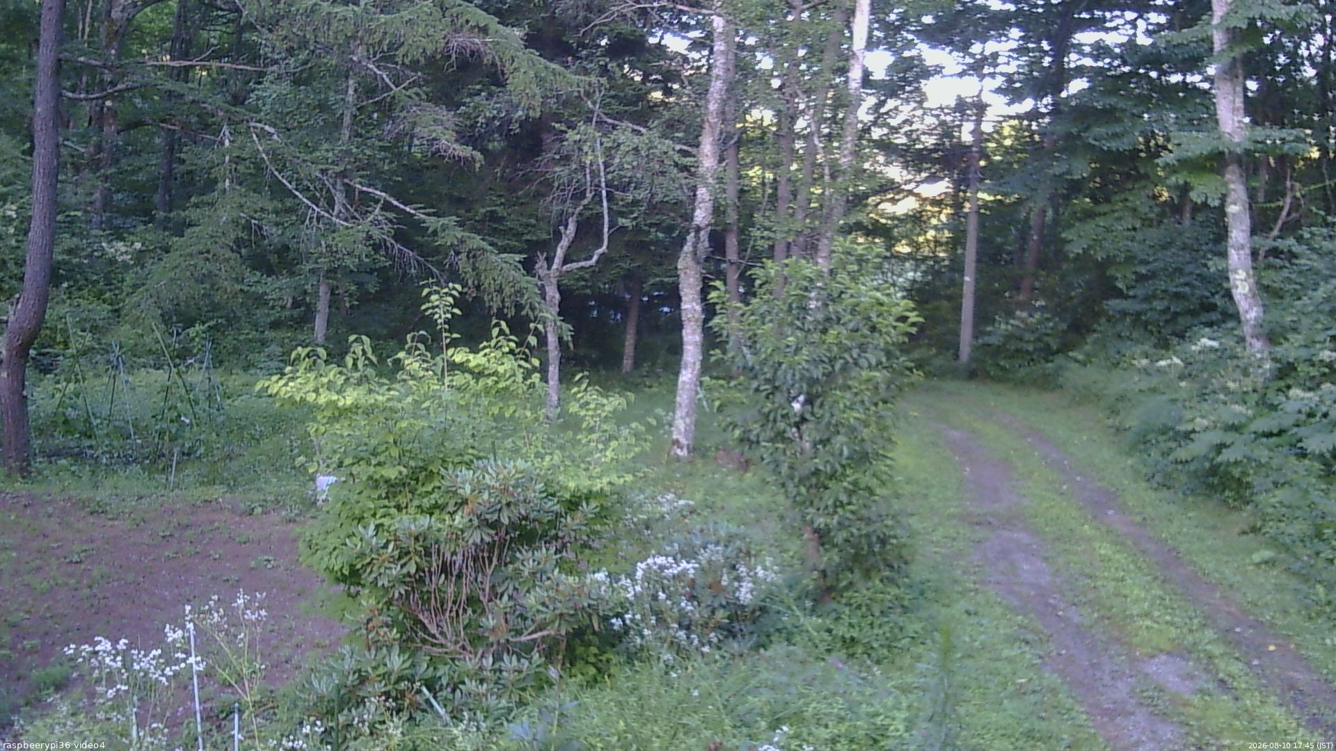 長野県菅平高原 ゆたか山荘 坂上 2026/08/10 17:45