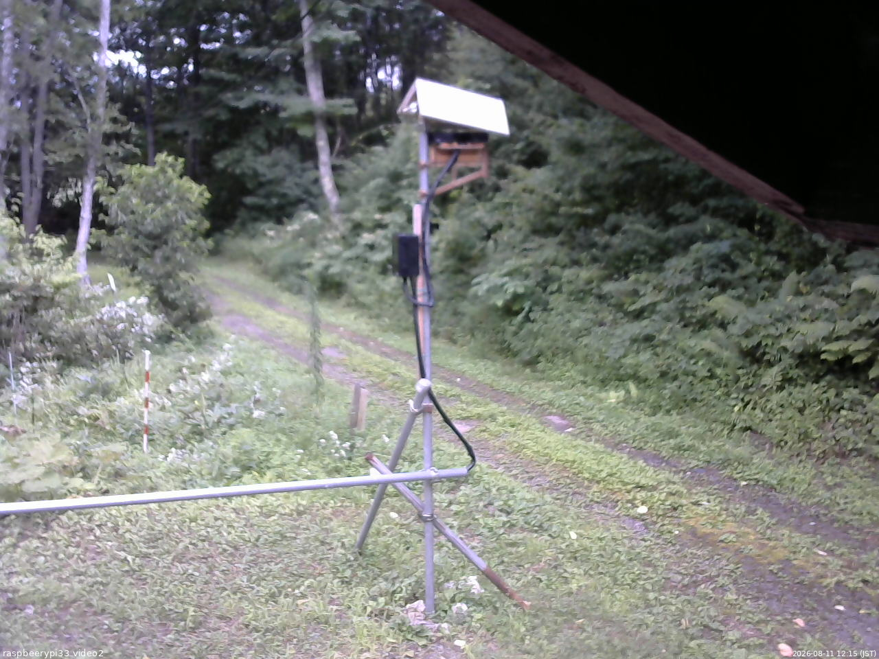 長野県菅平高原 ゆたか山荘 南側 2026/08/11 12:15