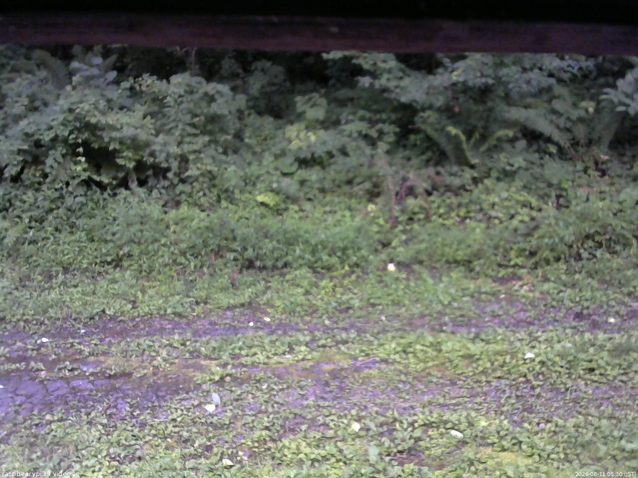 長野県菅平高原 ゆたか山荘 東側(坂下) 2026/08/11 05:30