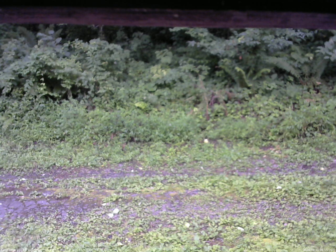 長野県菅平高原 ゆたか山荘 東側(坂下) 2026/08/11 06:15